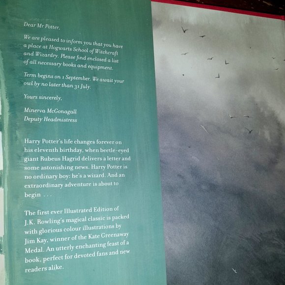 The Philosopher's Stone and Chamber of Secrets books Illustrated by Jim Kay - Picture 5 of 11